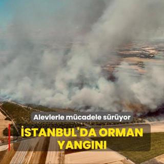 stanbul'da orman yangn... Alevlerle mcadele sryor