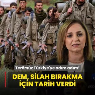 Terrsz Trkiye'ye adm adm! DEM Parti, terr rgt PKK'nn silah brakmasna ilikin tarih verdi