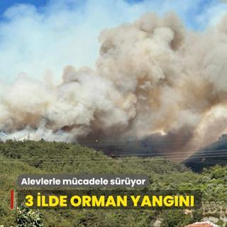 3 ilde orman yangn... Alevlerle mcadele sryor