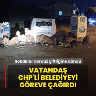 Sokaklar domuz iftliine dnd! Vatanda CHP'li belediyeyi greve ard