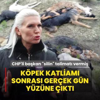 Kpek katliam sonras gerek gn yzne kt! CHP'li bakan silin talimat vermi