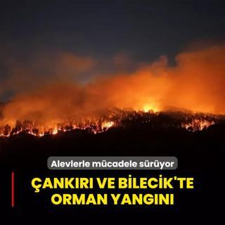 ankr ve Bilecik'te orman yangn... Alevlerle mcadele sryor