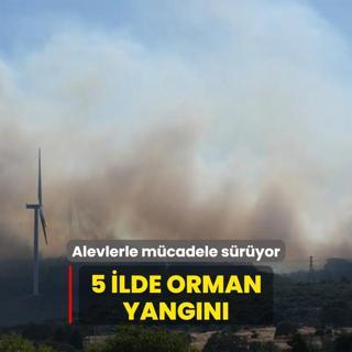 5 ilde orman yangn... Havadan ve karadan mdahale sryor
