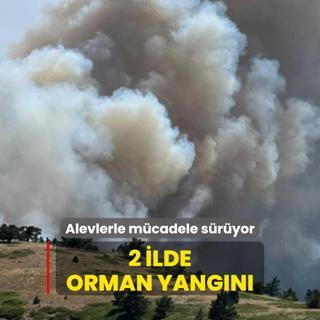 2 ilde orman yangn... Havadan ve karadan mdahale sryor
