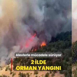 2 ilde orman yangn... Havadan ve karadan mdahale sryor