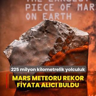 225 milyon kilometrelik yolculuk: Mars meteoru rekor fiyata alc buldu