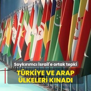 Trkiye ve Arap lkeleri knad... Soykrmc srail'e ortak tepki