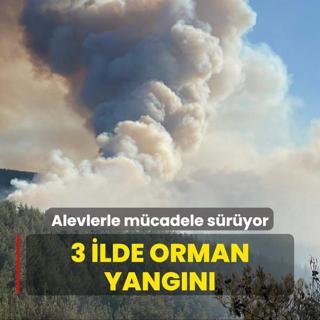 3 ilde orman yangn... Havadan ve karadan mdahale sryor