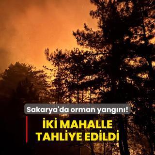 ki mahalle tahliye edildi... Sakarya'da orman yangn!