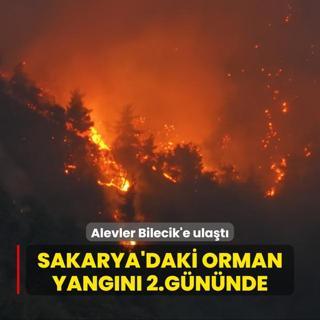 Sakarya'daki orman yangn 2.gnnde... Alevler Bilecik'e ulat