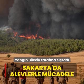 Sakarya'daki yangna youn mdahale devam ediyor: Bilecik tarafna srad
