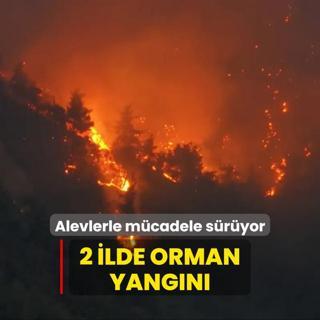 2 ilde orman yangn... Alevlerle mcadele sryor