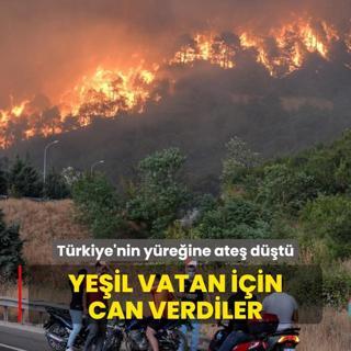 Yeil vatan iin can verdiler