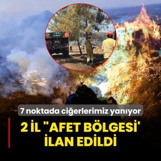 7 noktada cierlerimiz yanyor! 2 il Afet Blgesi' ilan edildi