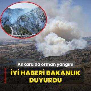 Ankara'da orman yangn! yi haberi bakanlk duyurdu