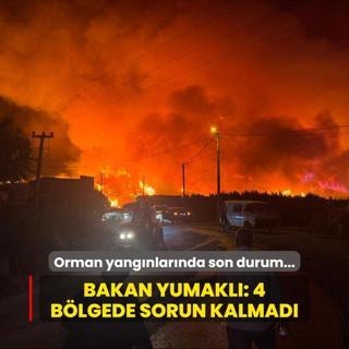Orman yangnlarnda son durum... Bakan Yumakl: 3 ilimizdeki 4 yangnda sorun kalmad