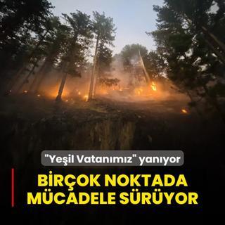 Yeil Vatanmz yanyor! Birok noktada alevler mcadele sryor
