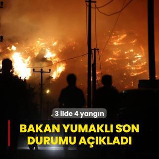 3 ilde 4 yangn... Alevlerle mcadele devam ediyor