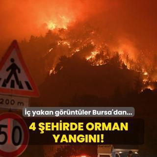  yakan grntler Bursa'dan... 4 ehirde orman yangn!