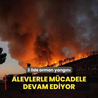 3 ilde orman yangn... Alevlerle mcadele devam ediyor