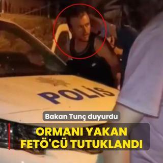 Bursa'daki yangn soruturmasnda yeni gelime: Orman yakan FET'c tutukland