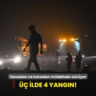 Havadan ve karadan mdahale sryor...  ilde 4 yangn!
