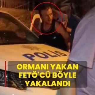Orman yakan FET'c byle yakaland