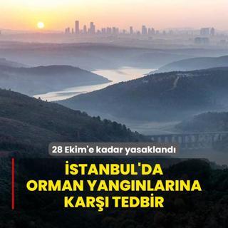 28 Ekim'e kadar yasakland! stanbul'da  orman yangnlarna ek tedbir