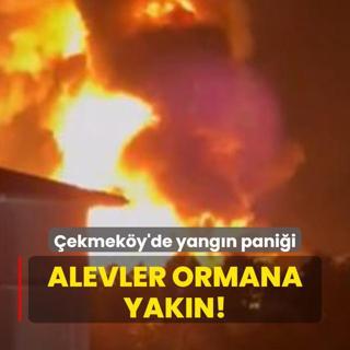 ekmeky'de fabrikada yangn panii: Alevler ormana yakn!