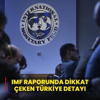 IMF raporunda dikkat eken Trkiye detay