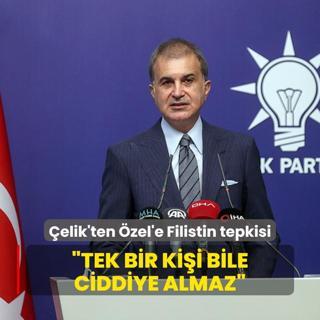 elik'ten zel'e Filistin tepkisi: Tek bir kii bile ciddiye almaz