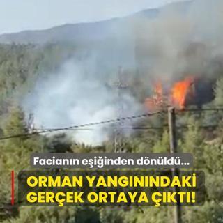 Faciann eiinden dnld... Orman yangnndaki gerek ortaya kt!