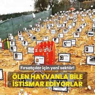 len hayvanla bile istismar ediyorlar!