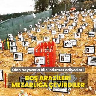 len hayvanla bile istismar ediyorlar!