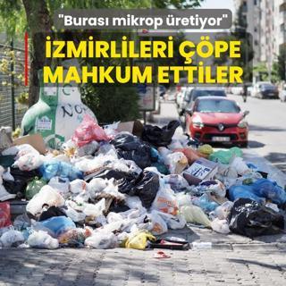 Vatanda pe mahkum ettiler! zmirlilerin ilesi bitmiyor: Buras mikrop retiyor
