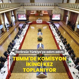 Milli Dayanma, Kardelik ve Demokrasi Komisyonu'ndan ikinci toplant