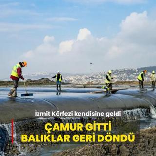 zmit Krfezi kendisine geldi: amur gitti balklar geri dnd