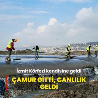 zmit Krfezi kendisine geldi: amur gitti, canllk geldi