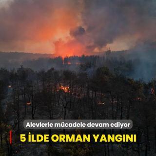 5 ilde orman yangn... Havadan ve karadan mdahale sryor..