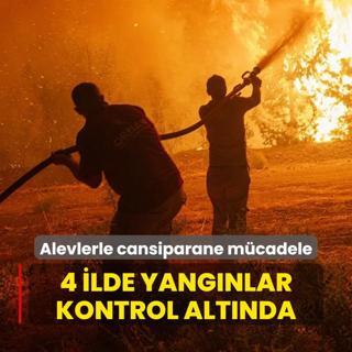 Alevlerle cansiparane mcadele: 4 ilde yangnlar kontrol altnda