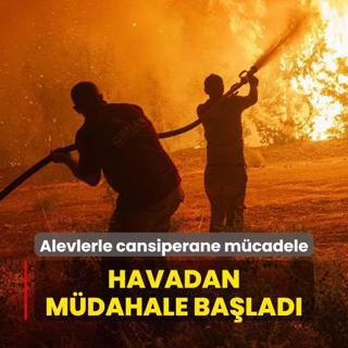 Alevlerle cansiperane mcadele: Havadan mdahale balad