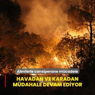 Alevlerle cansiperane mcadele... Havadan ve karadan mdahale devam ediyor