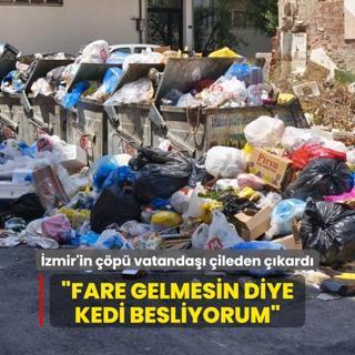 zmir'in p vatanda ileden kard: Fare gelmesin diye kedi besliyorum