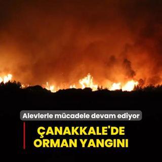 anakkale'de orman yangn: Alevlerle mcadele devam ediyor