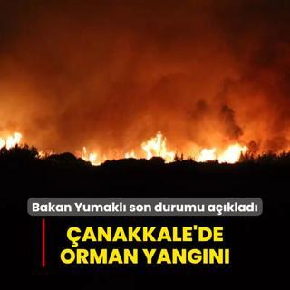 anakkale'deki orman yangnnda son durum... Bakan Yumakl: Byk lde kontrol altna alnd