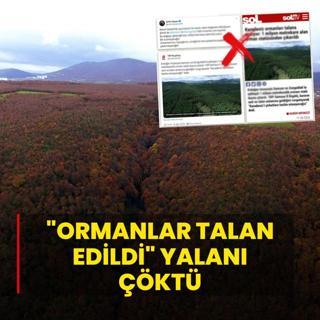 Ormanlar talan edildi yalan kt