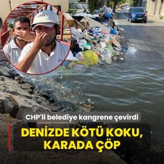 Denizde kt koku, karada p! CHP'li belediye kangrene evirdi