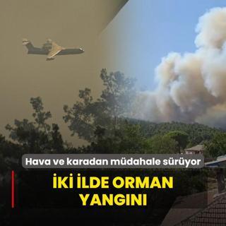 ki ilde orman yangn!  Havadan ve karadan mdahale sryor