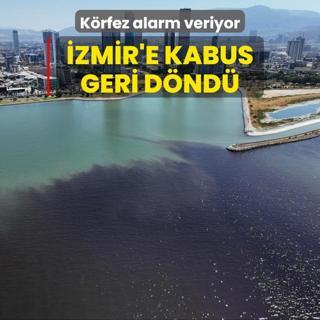 zmir'e kabus geri dnd! Krfez alarm veriyor: Bunu hak etmiyoruz