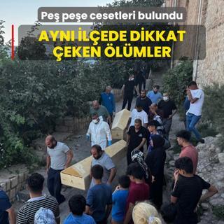 Pe pee cesetleri bulundu: Ayn ilede dikkat eken lmler